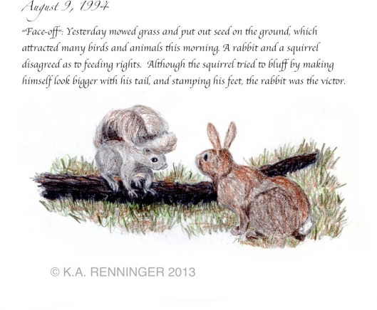 Rabbit and Squirrel Face Off